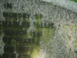 image of grave number 622505